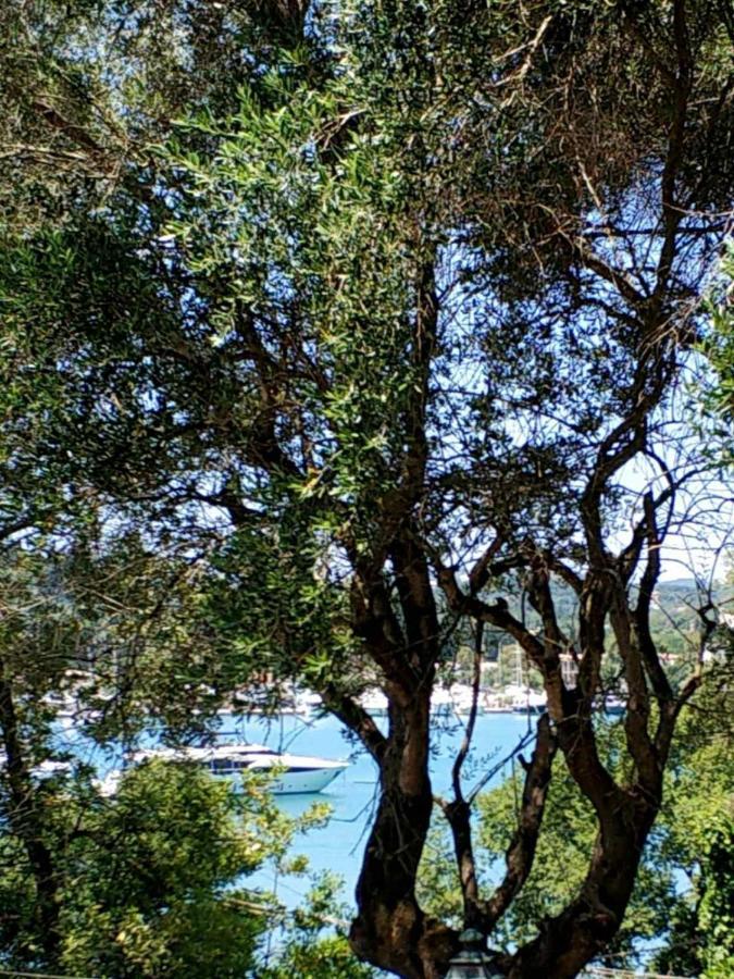 Coritos Apartments Corfu كونتوكالي المظهر الخارجي الصورة